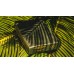 Livingstone Deluxe Edition Playing Cards
