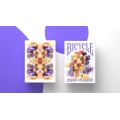 Bicycle Deep Forest