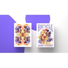 Bicycle Deep Forest
