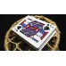 Bicycle Euchre