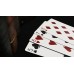 Bicycle Webbed Playing Cards