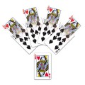 Wild Cards