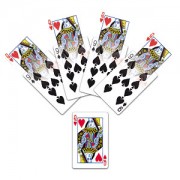 Wild Cards
